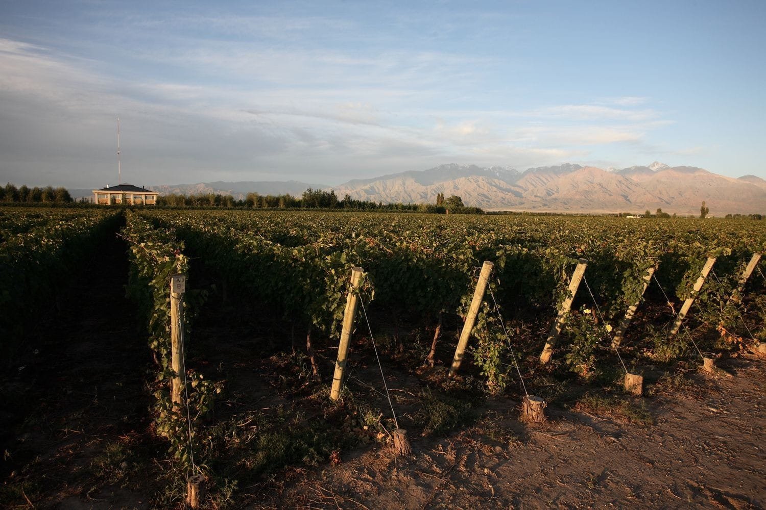Casa Antucura, Winery lodges in Vista Flores, Tunuyán