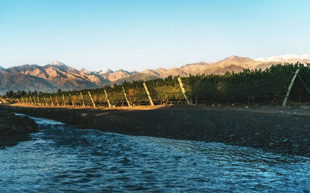 Casa Petrini, Wine resorts in Agua Amarga, Tupungato