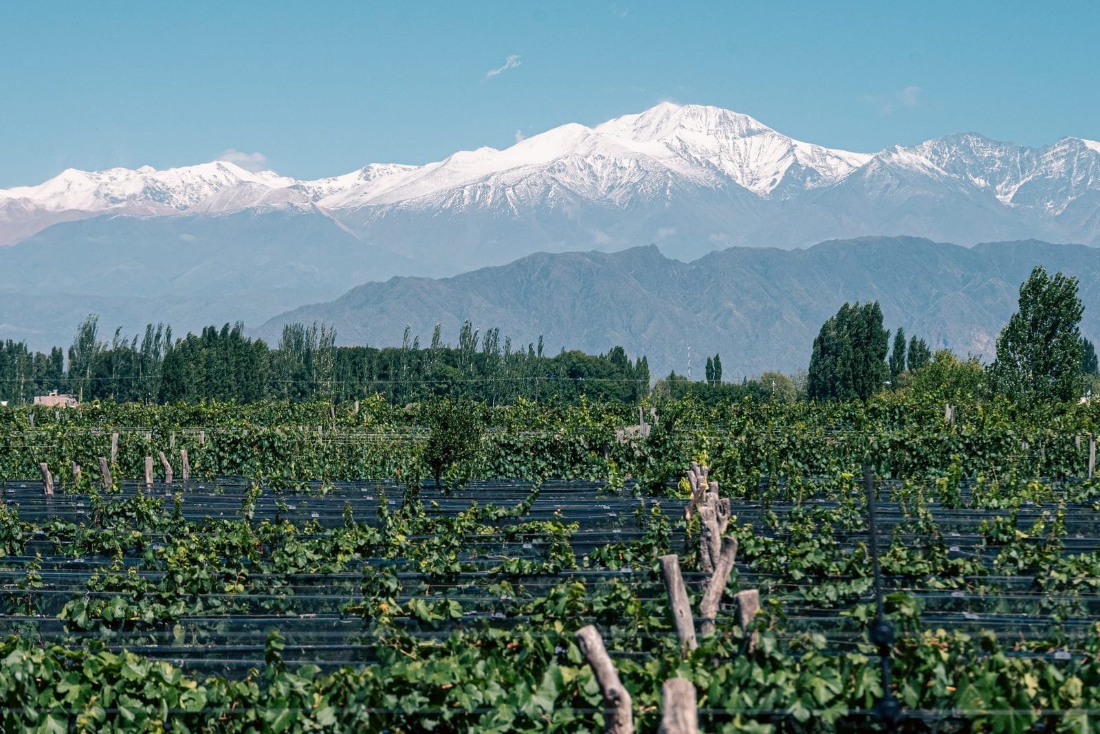 Ciclo Andino, Lodges en bodega en Perdriel