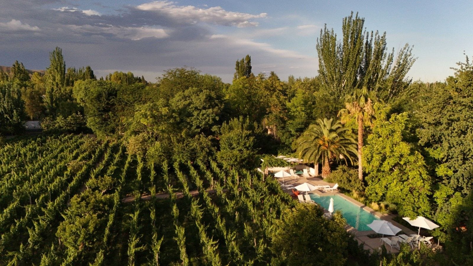 Finca Adalgisa, Lodges en bodega en Chacras de Coria