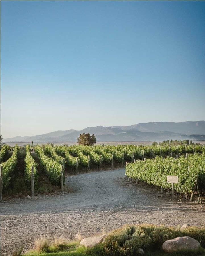 A Week with the Girls in Mendoza: Wineries, Spa, Sunsets and the Andes
