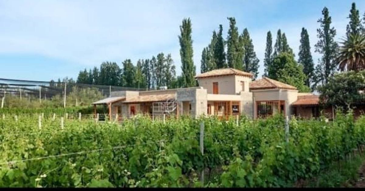 Posada Cavieres Wine Farm, Winery lodges in Coquimbito