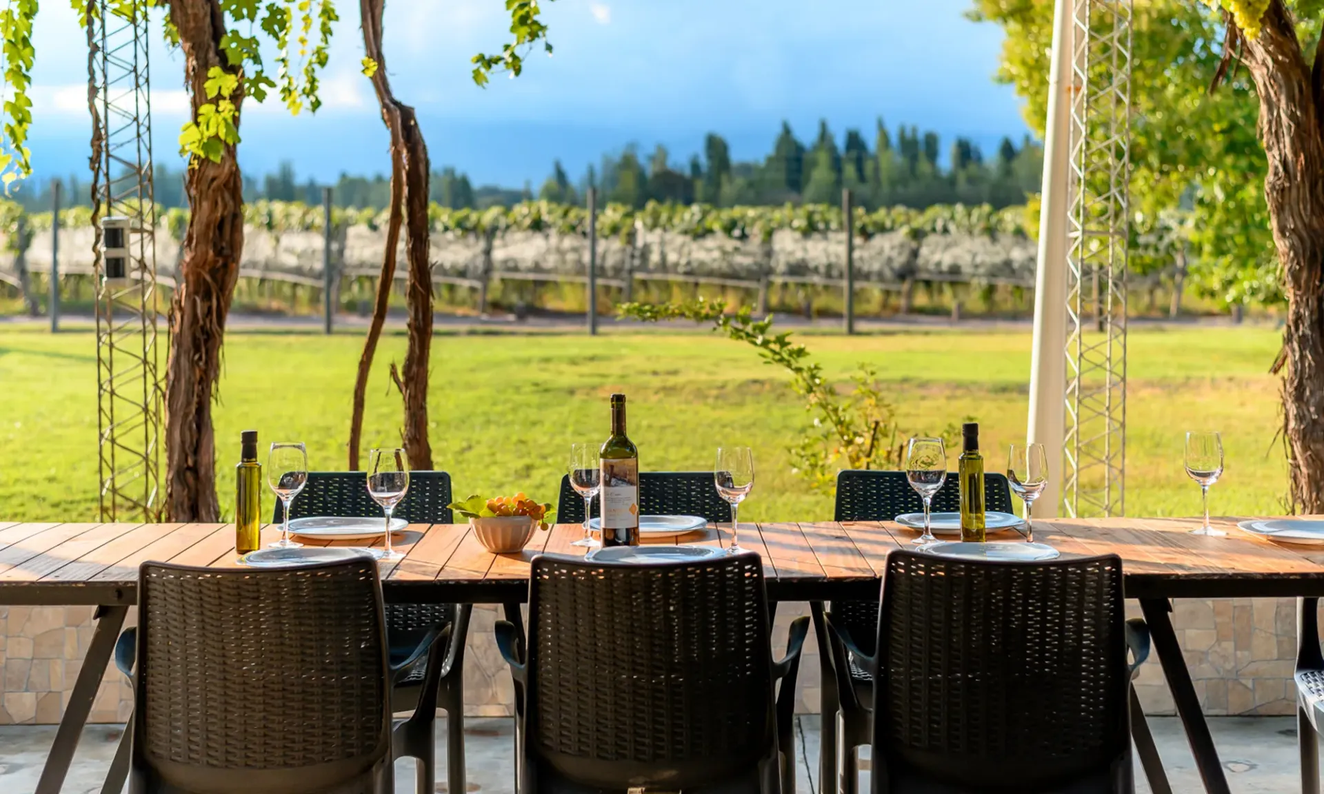 Romantic Mendoza: From Las Compuertas to the Uco Valley