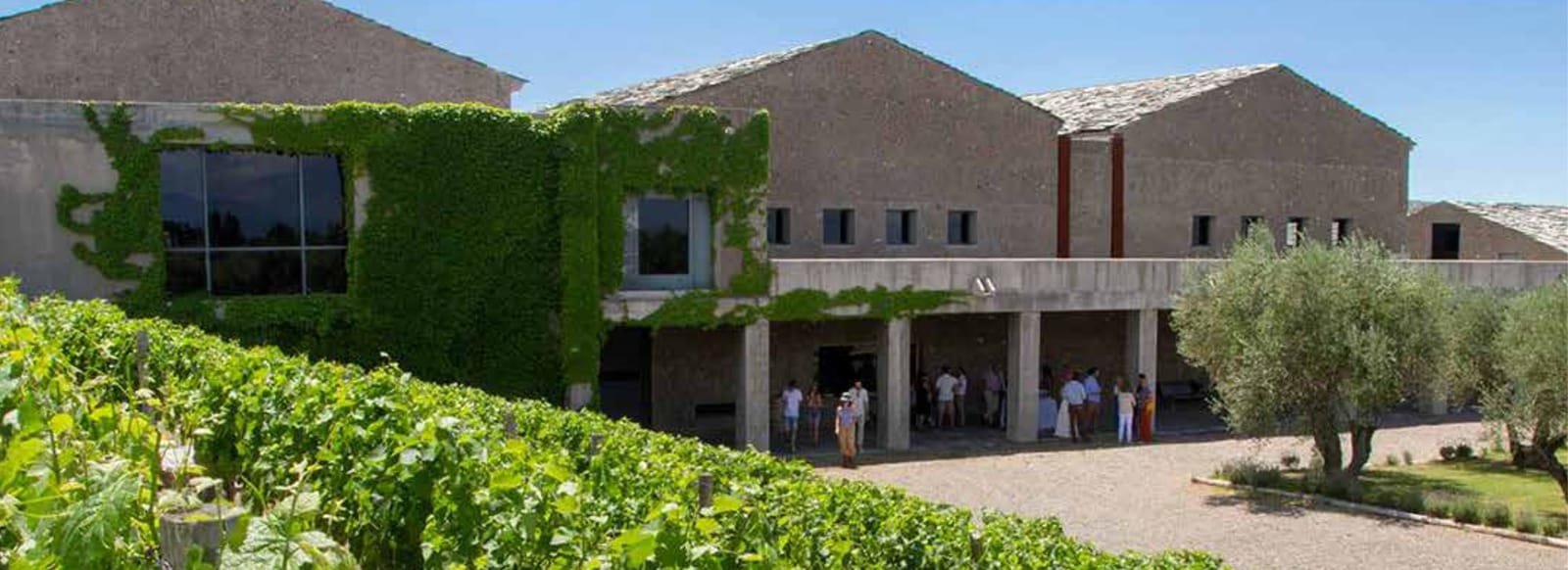 Atamisque
