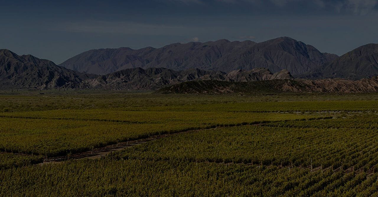 Bemberg Estate Wines