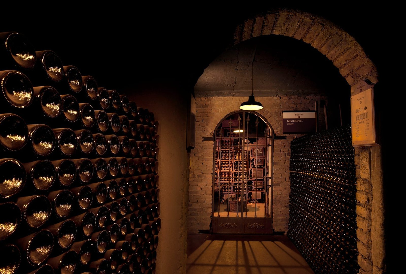 Bodega Norton