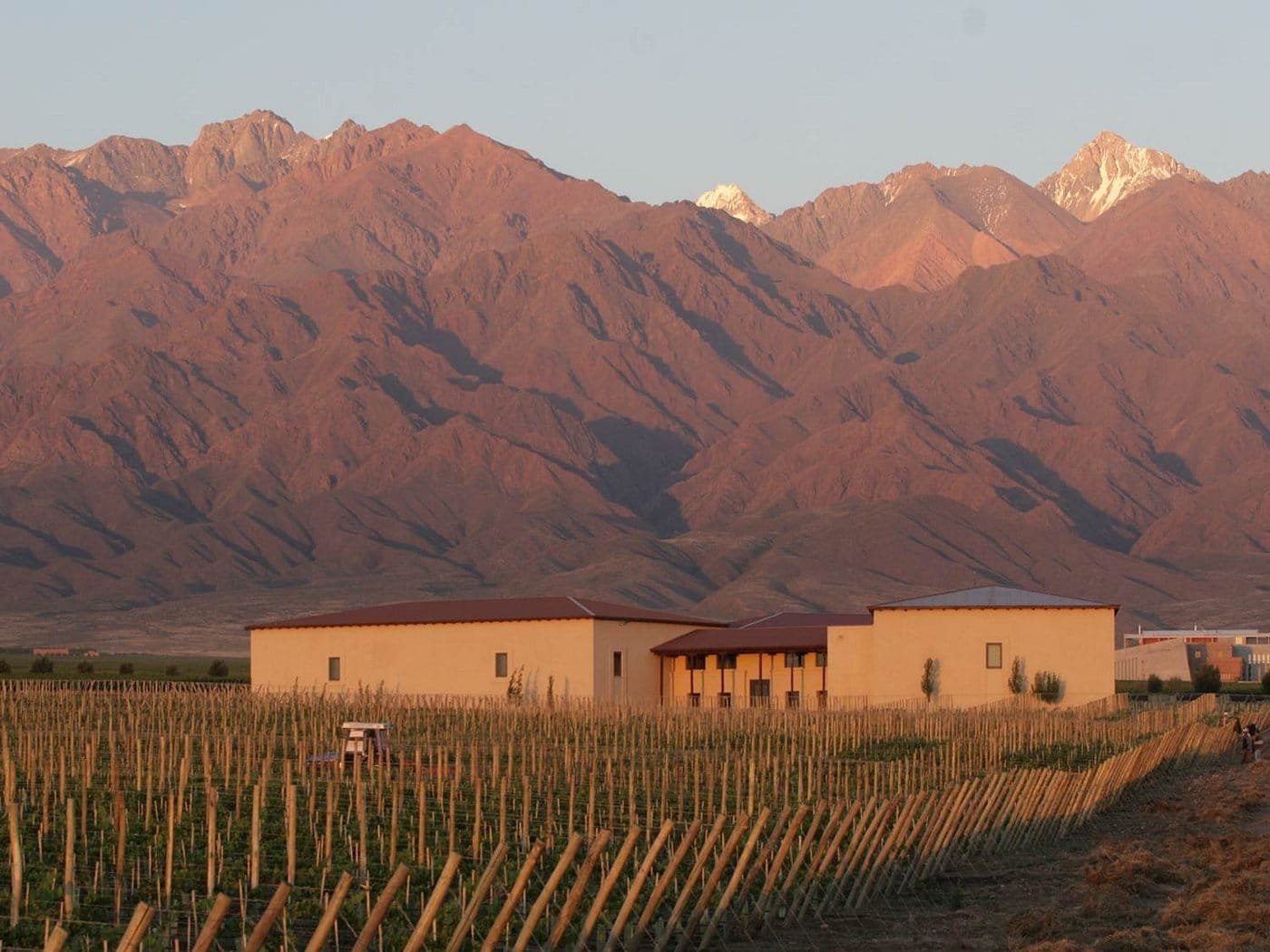 Cuvelier Los Andes