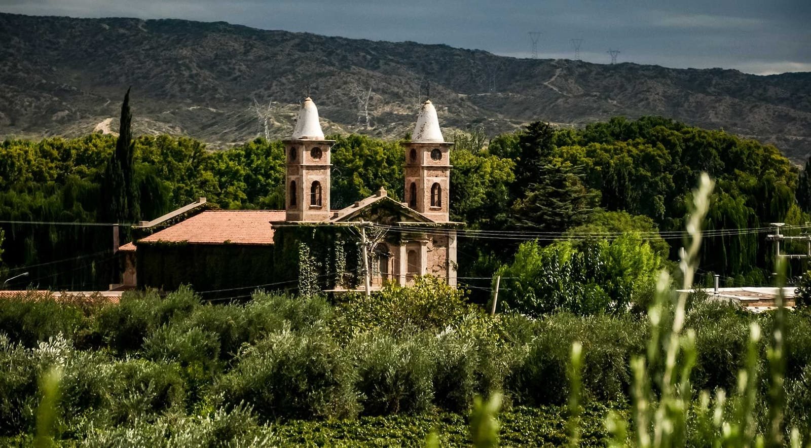 Domaine St. Diego