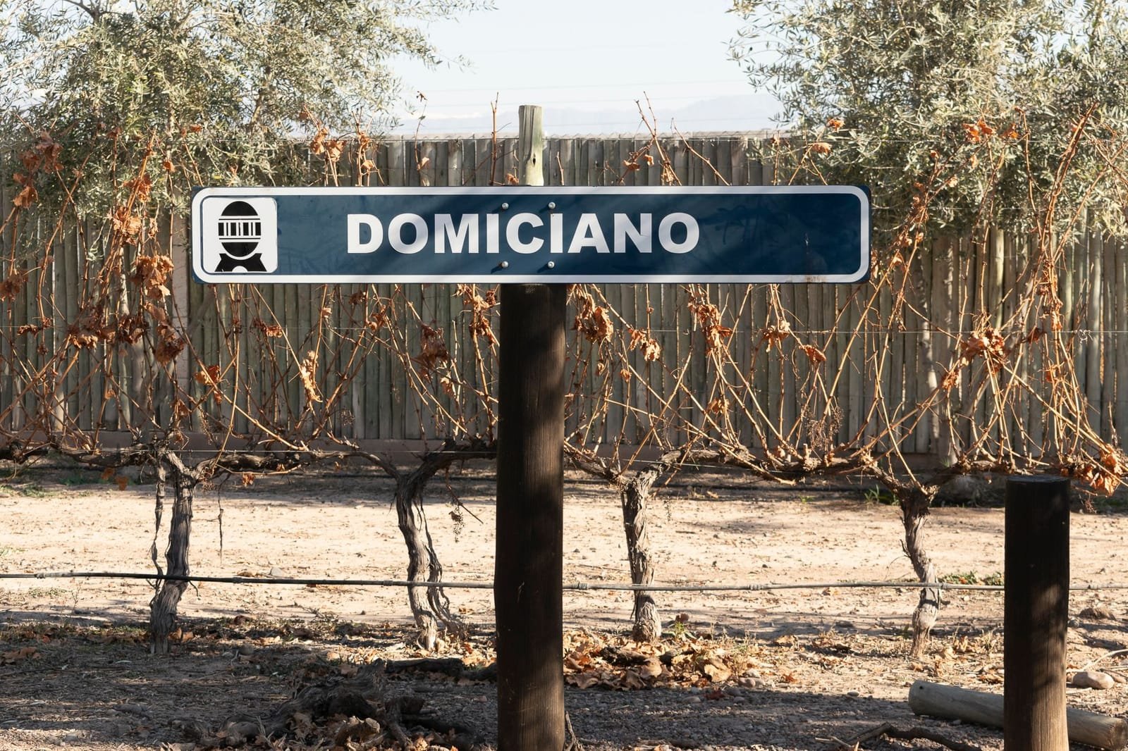 Domiciano