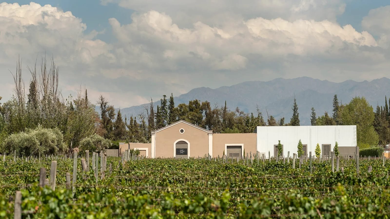 Martino Wines