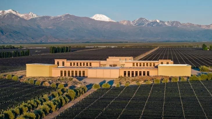 Rutini Wines