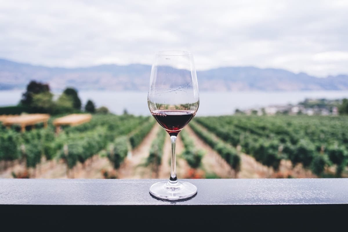 Fin de semana de Malbec — Mendoza