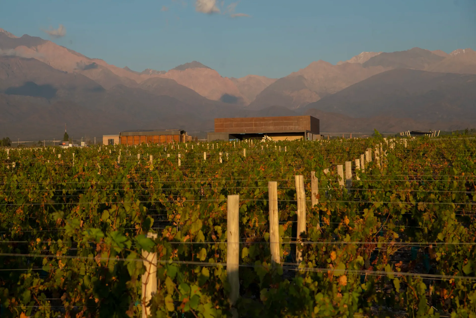 Mesa privativa entre os vinhedos de Mendoza