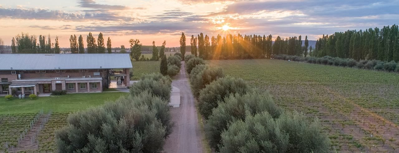 Achával-Ferrer · Guardianes de un Legado