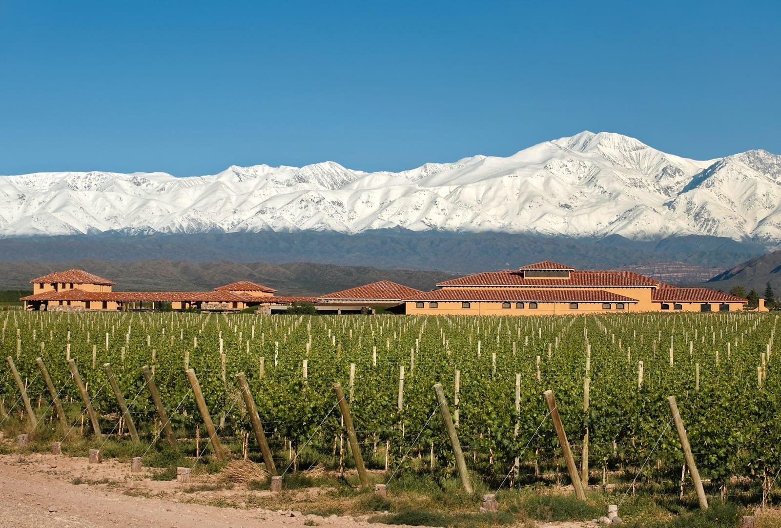 Finca Decero · Remolinos Vineyard