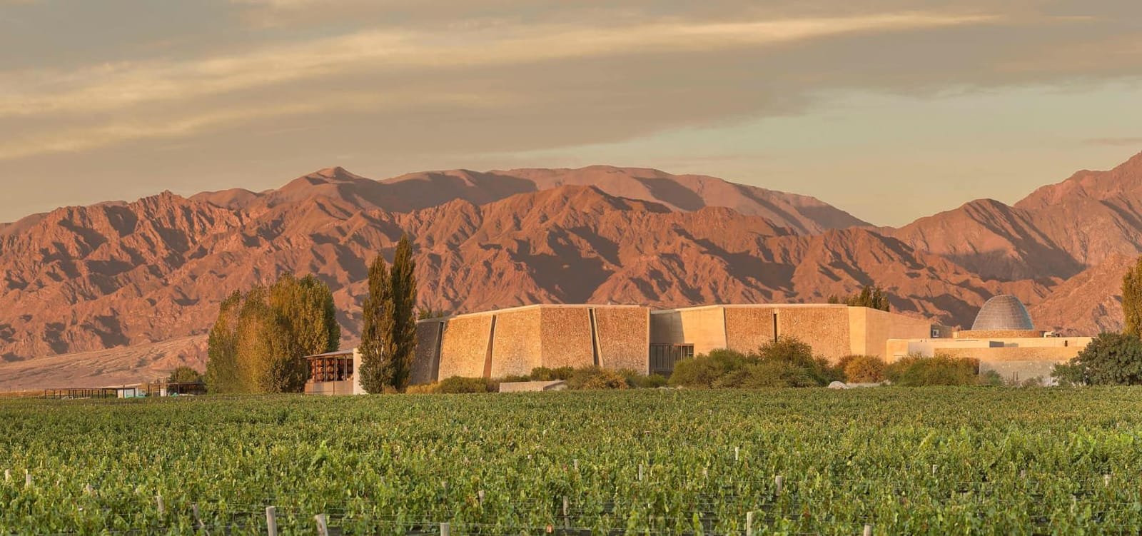Zuccardi · Almuerzo de Pasos en Piedra Infinita