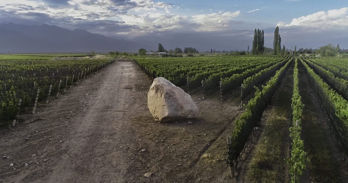 Zuccardi · Degustación Parajes y Fincas