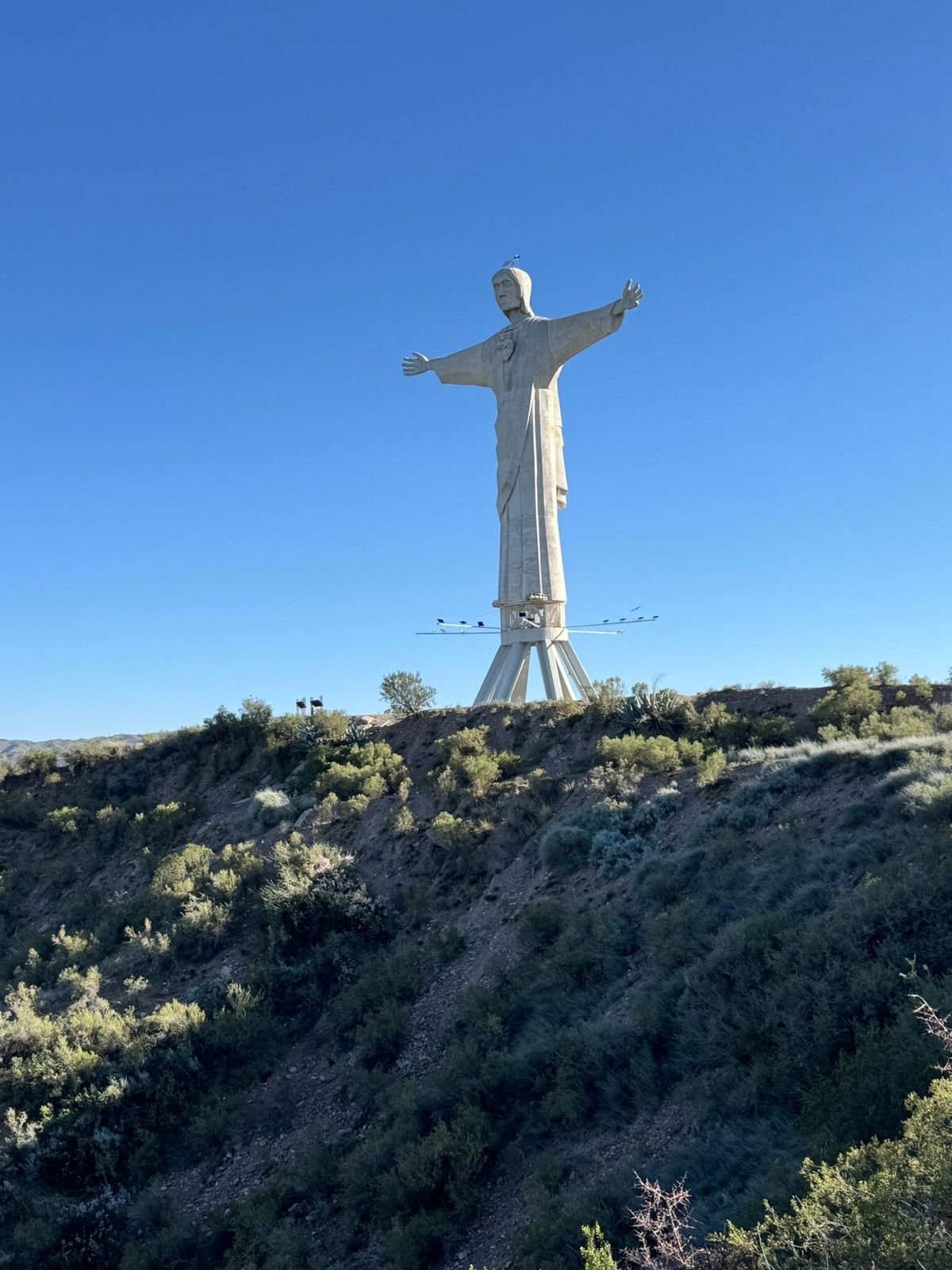 Jesus T