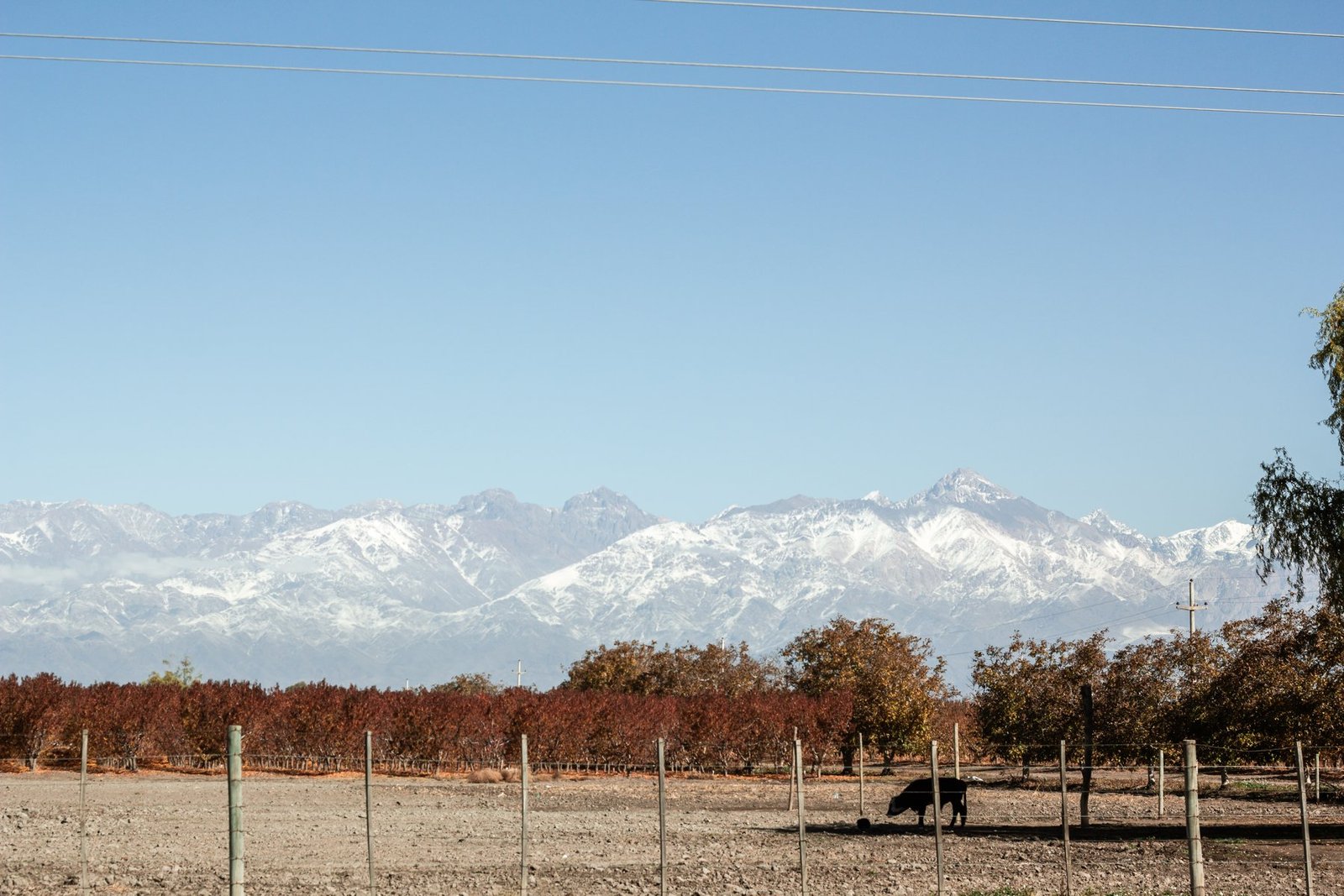 Escapada a Mendoza: Valle de Uco, Termas y Velero