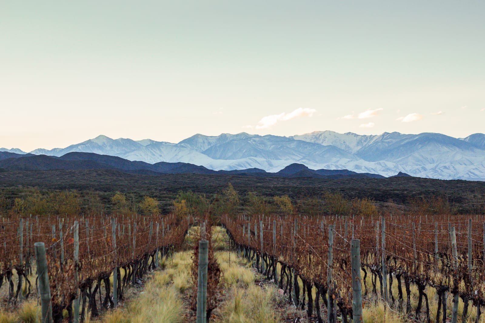 Alta Montaña y Estancia de los Andes — Mendoza