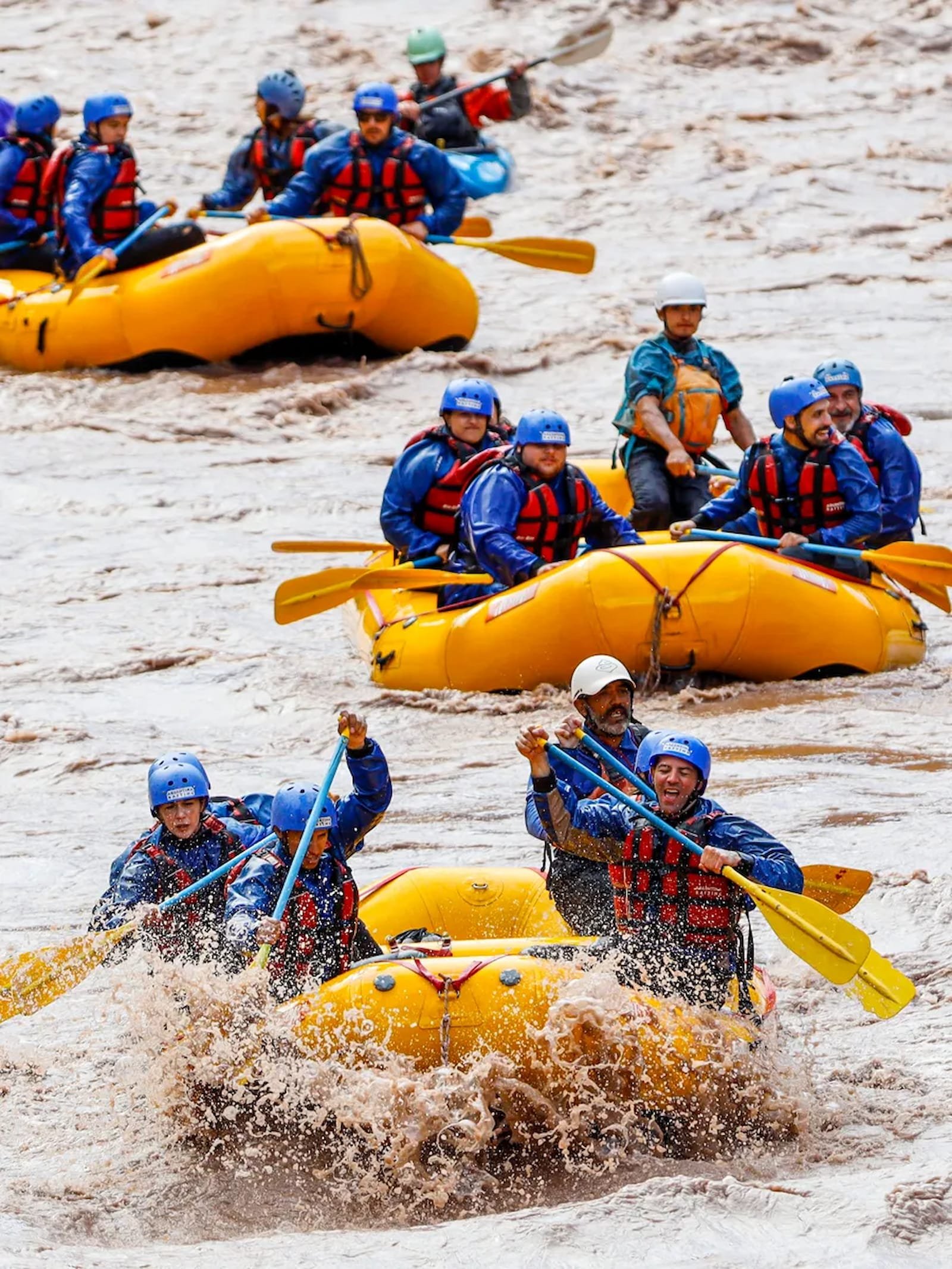 Rafting y Vino en el Valle de Uco: Los Andes desde el Río