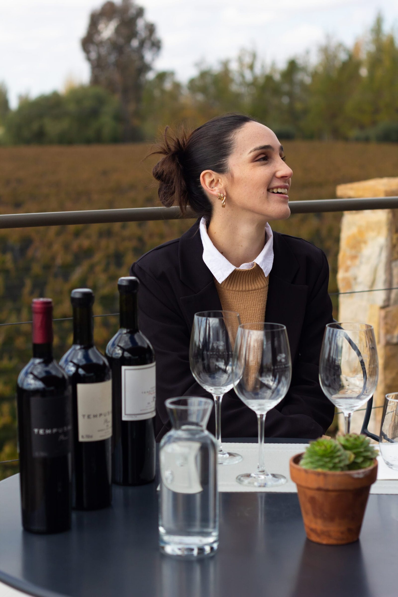 Viamonte Winery Lodge