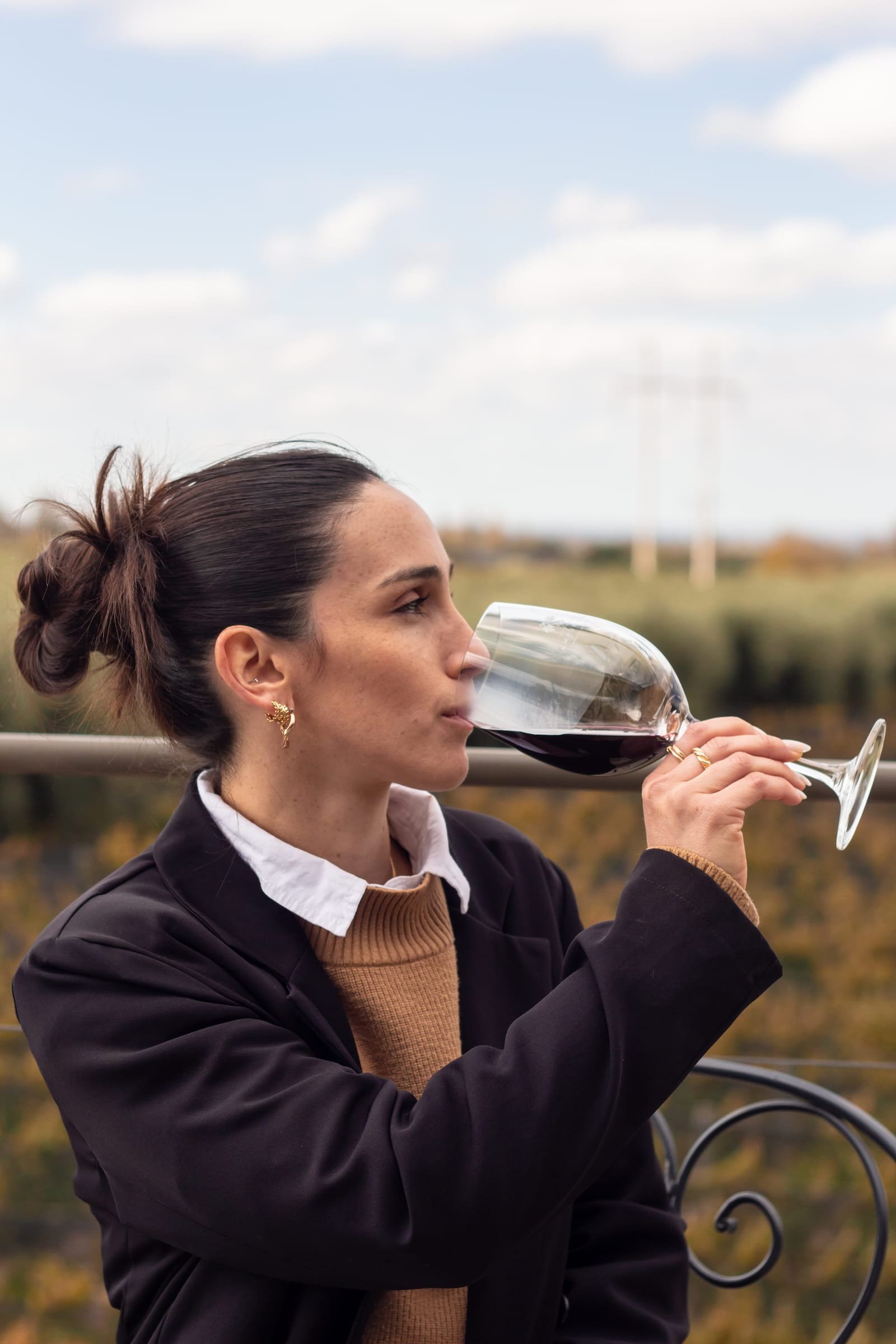 Maipú with a Signature: Boutique Wines and Premium Olive Oil