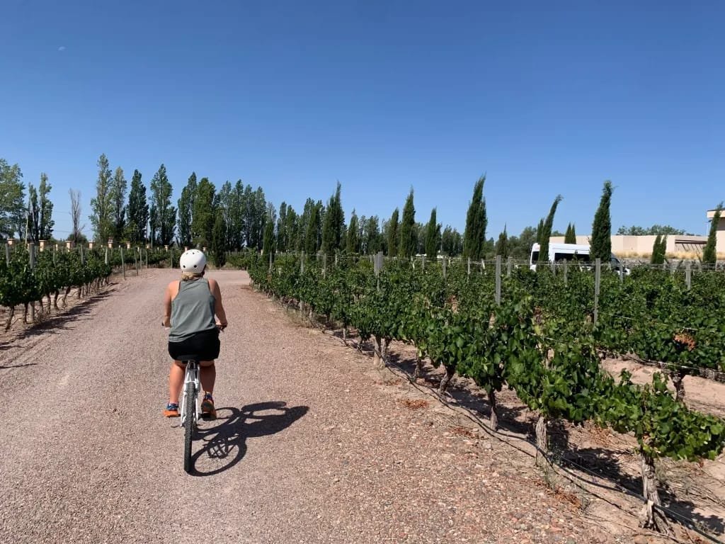 Bike & Vino en Maipú