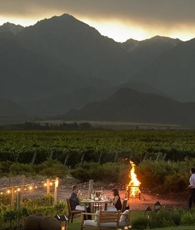 The Vines & Siete Fuegos: Bodega y Almuerzo de Francis Mallmann