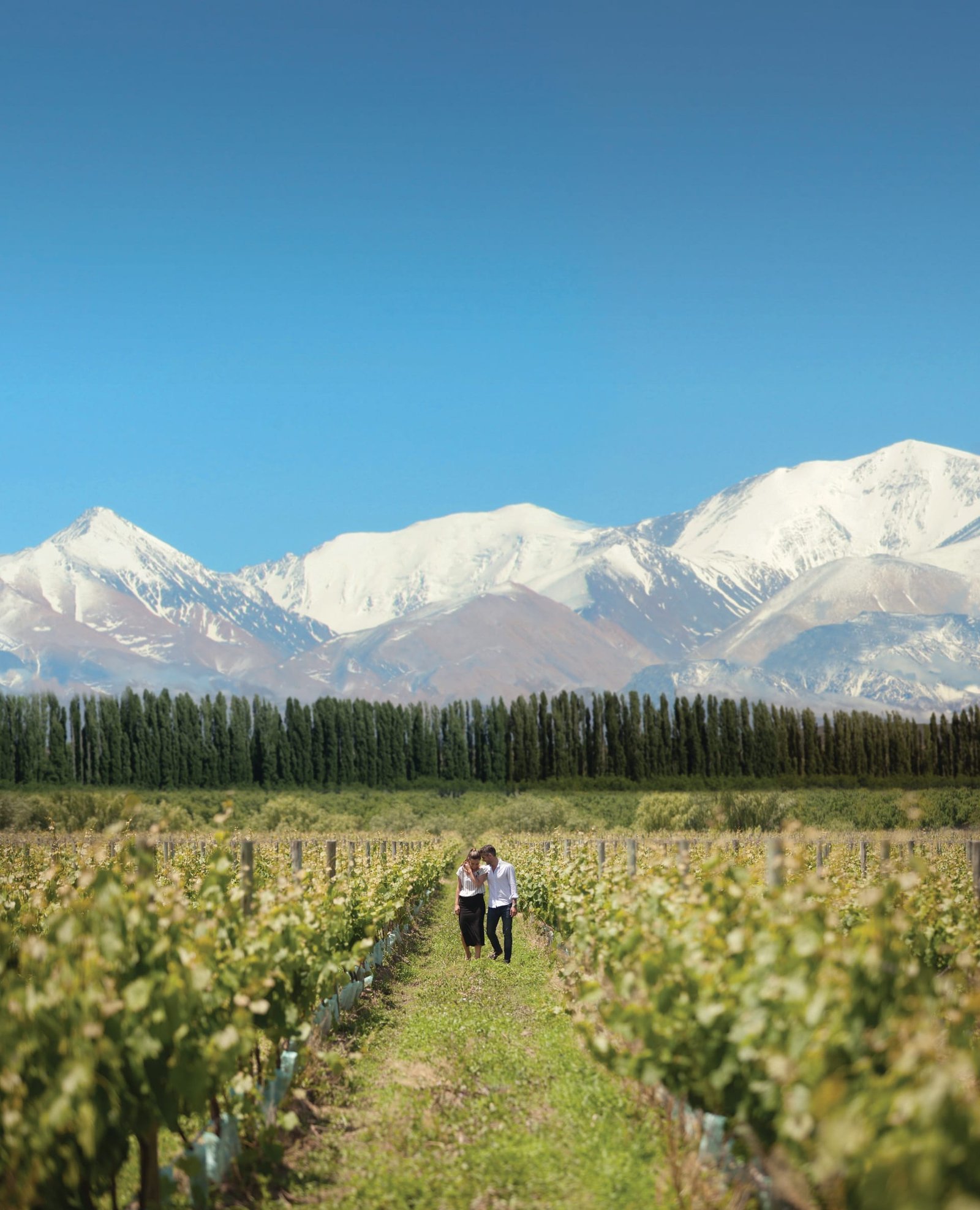 Mendoza completa: vino, Andes y mesa