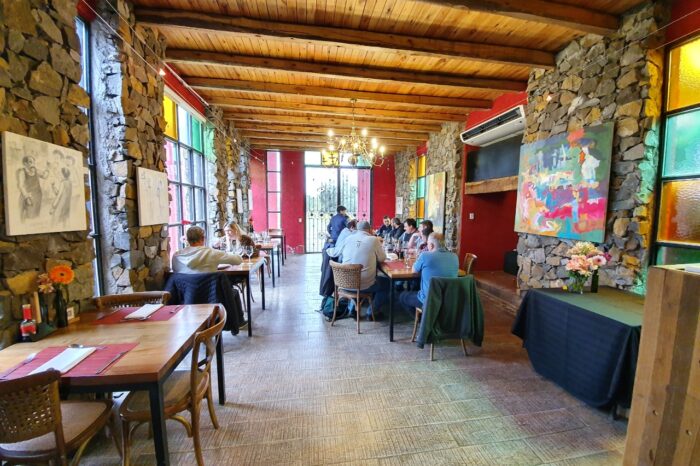 Un día en el paraíso del vino: Maipú