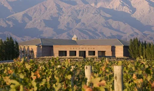 Atardecer en el Valle de Uco: Un Viaje Privado al Corazón del Vino y el Arte