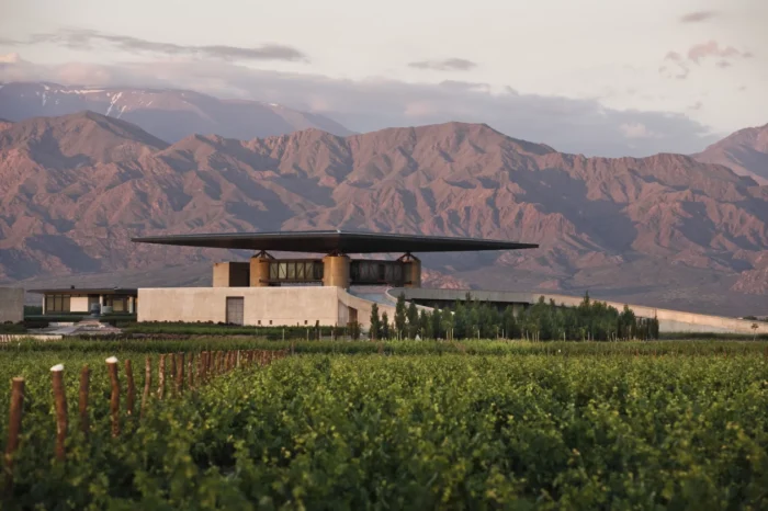 Contrastes del Valle de Uco: Arquitectura y Fuego en un Tour Gastronómico Privado